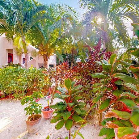 Casa Tranquilidad Lejlighed San Pedro  Eksteriør billede